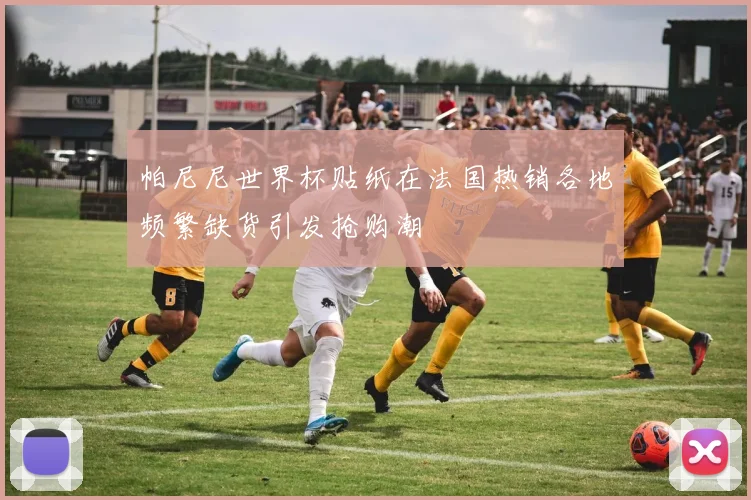 帕尼尼世界杯贴纸在法国热销各地频繁缺货引发抢购潮
